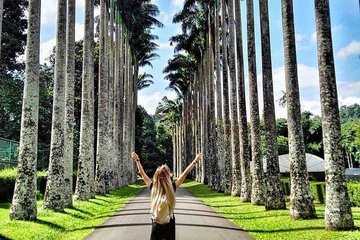 7-Day Private Sri Lanka Road Trip with English-Speaking Guide photo 6