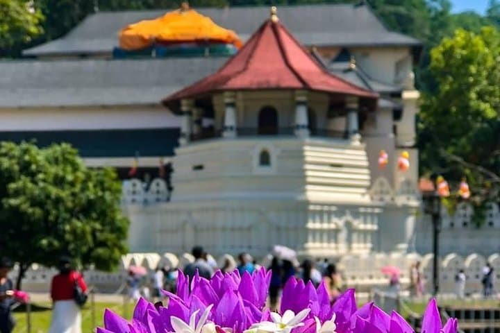 Sri Lanka 6-Day Highlights Tour: Colombo, Sigiriya, Kandy & Galle photo 5