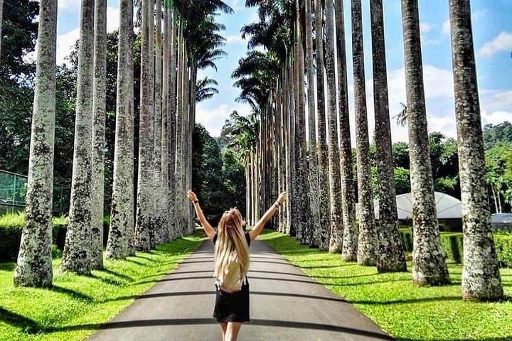 Sri Lanka 6-Day Highlights Tour: Colombo, Sigiriya, Kandy & Galle photo 3