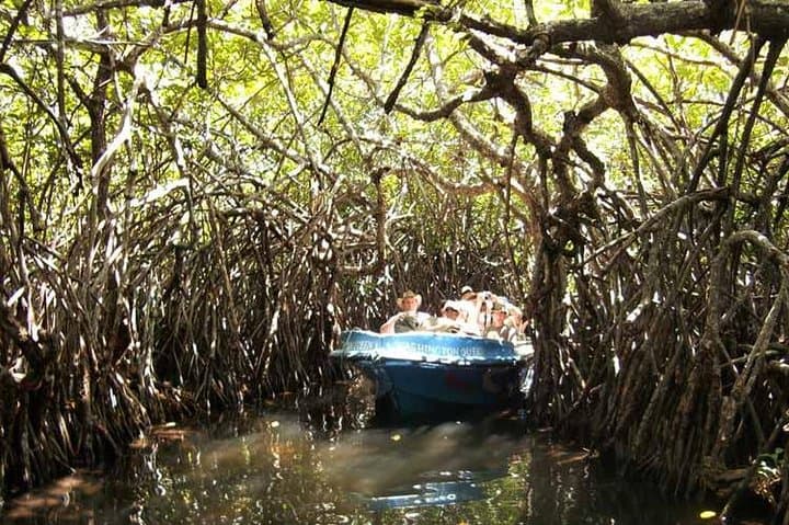Bentota Day Trip from Colombo: Madu River Boat, Kosgoda Turtle Release & Lunuganga photo 3