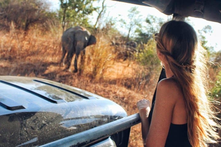 Full-Day Udawalawe Safari from Bentota — Elephant Encounters & Udawalawe Dam