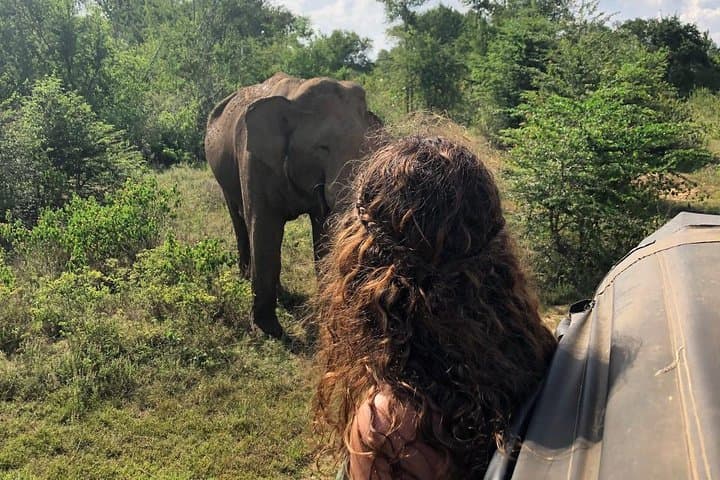 Full-Day Udawalawe Safari from Bentota — Elephant Encounters & Udawalawe Dam photo 4