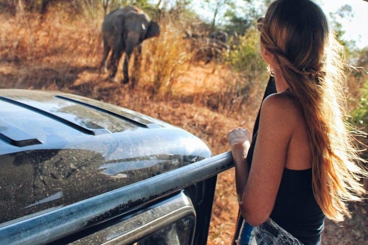 Day Trip to Udawalawe National Park from Colombo — Elephant Safaris & Dam Views photo 2