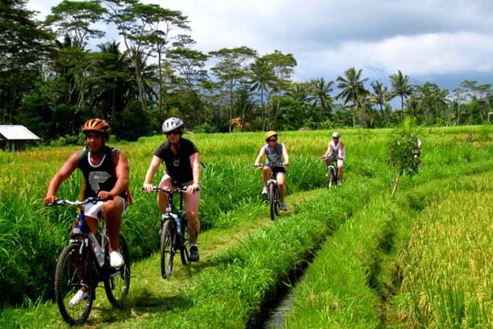 Pedal Bali’s Bangli Rice Paddies: Ubud Cycling Tour with Mt Batur Views