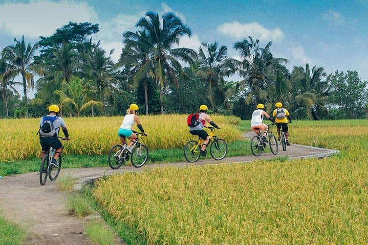 Pedal Bali’s Bangli Rice Paddies: Ubud Cycling Tour with Mt Batur Views photo 4