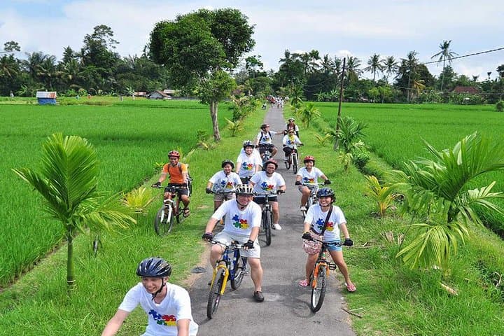 Pedal Bali’s Bangli Rice Paddies: Ubud Cycling Tour with Mt Batur Views photo 5