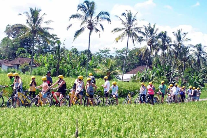 Pedal Bali’s Bangli Rice Paddies: Ubud Cycling Tour with Mt Batur Views photo 6