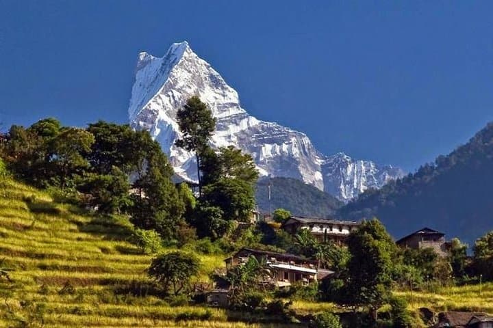 Dhampus Trek: Two-Day Himalayan Views & Gurung Village Experience from Pokhara photo 2