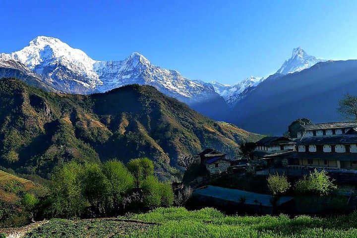 Dhampus Trek: Two-Day Himalayan Views & Gurung Village Experience from Pokhara photo 5