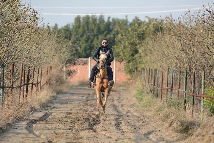 Torgiano Olive Oil & Wine Museum Day Trip with Winery Lunch and Horseback Ride photo 5