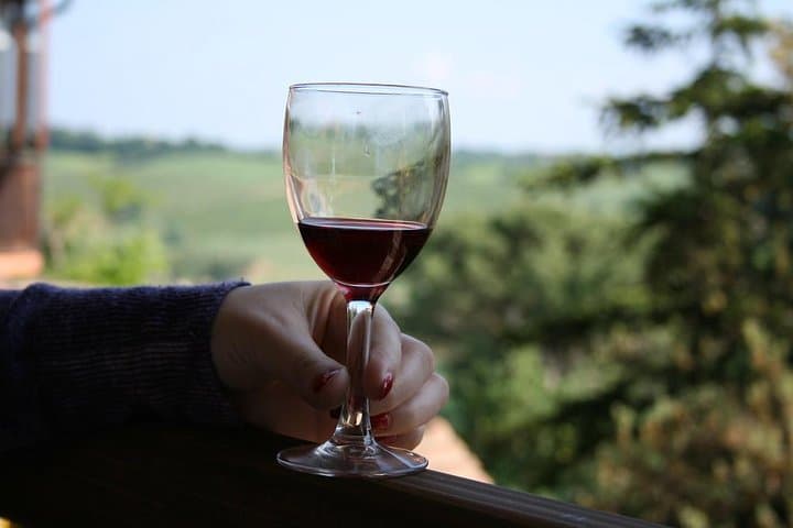 Torgiano Olive Oil & Wine Museum Day Trip with Winery Lunch and Horseback Ride photo 6