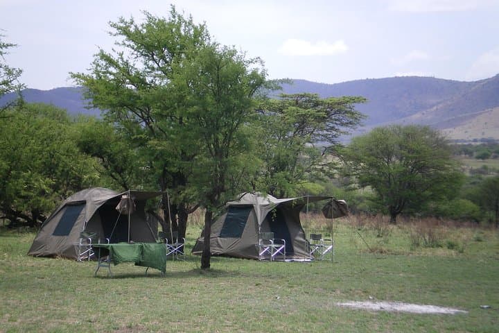 2-Day Budget Safari: Tarangire & Ngorongoro Crater Wildlife Experience photo 2