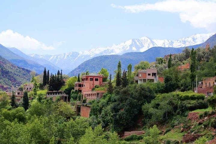 Ourika Valley Day Trip from Marrakech: Waterfalls, Berber Villages & Atlas Views
