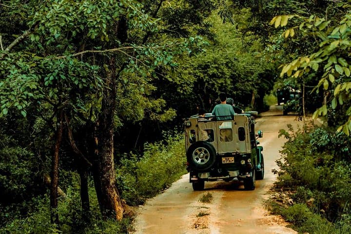 Sigiriya and Minneriya Great Escape: Rock Fortress Climb and Minneriya Elephant Safari Day Tour photo 4