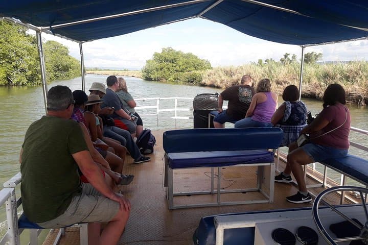 Black River Safari from Montego Bay — Private Crocodile & Mangrove Birdwatching Boat Tour photo 2
