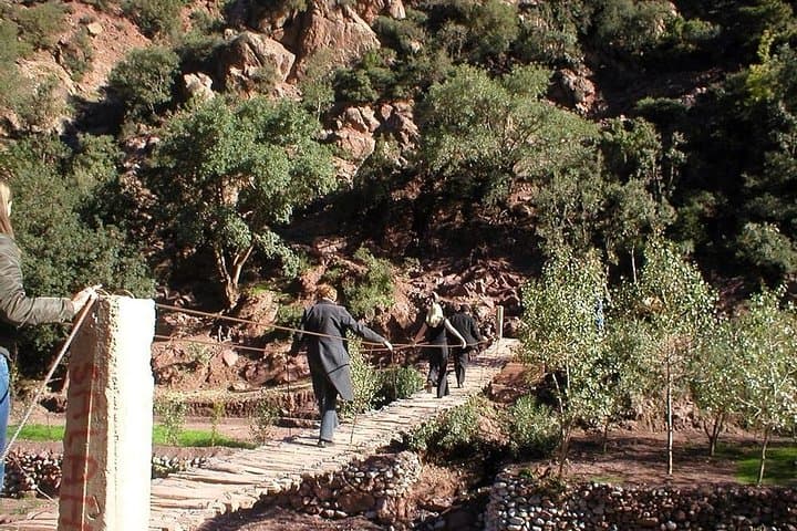 Ourika Valley Waterfalls: Private Day Trip from Marrakech photo 5