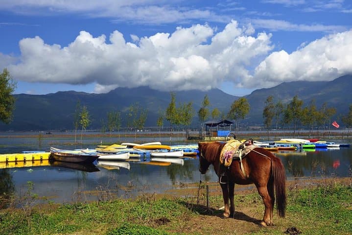 Biking Lashi Lake: Lijiang to Baisha Village Cycling Loop photo 6