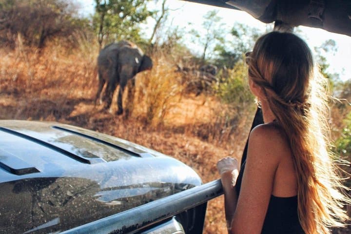 Udawalawe National Park Day Trip from Colombo — Elephant Safari Transfers photo 1