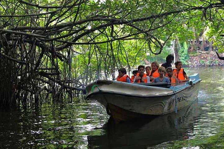 Bentota Day Trip from Negombo: Madu River Boat Ride, Turtle Release & Lunuganga Garden photo 4