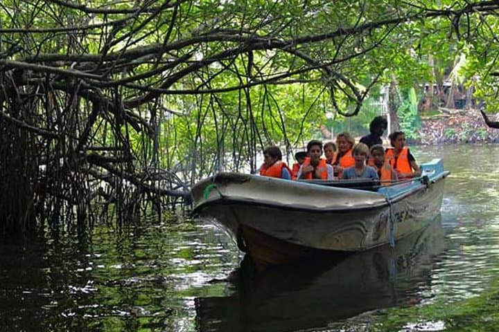 Bentota Day Trip from Colombo: Turtle Hatchery, Madu River Safari & Water Sports photo 4