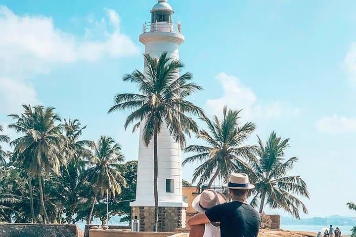 Galle Day Trip & Madu River Mangrove Safari from Colombo