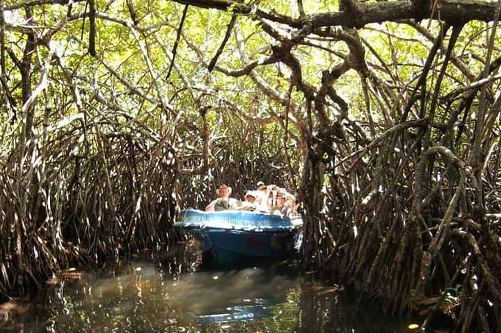 Galle Day Trip & Madu River Mangrove Safari from Colombo photo 4