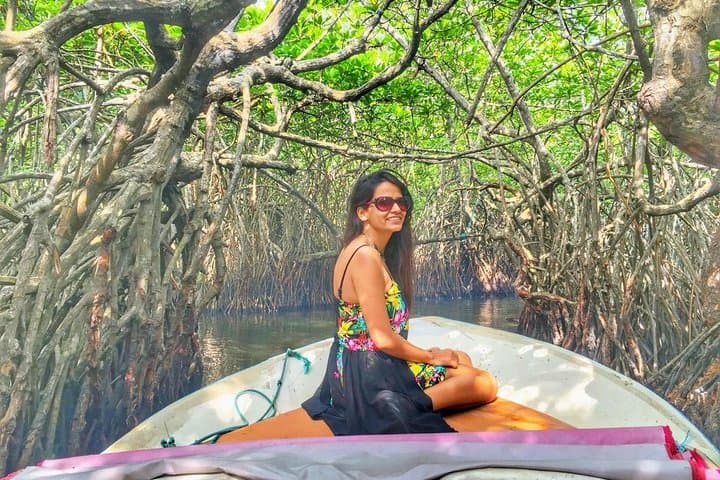 Galle Day Trip and Madu River Mangrove Safari from Negombo photo 1