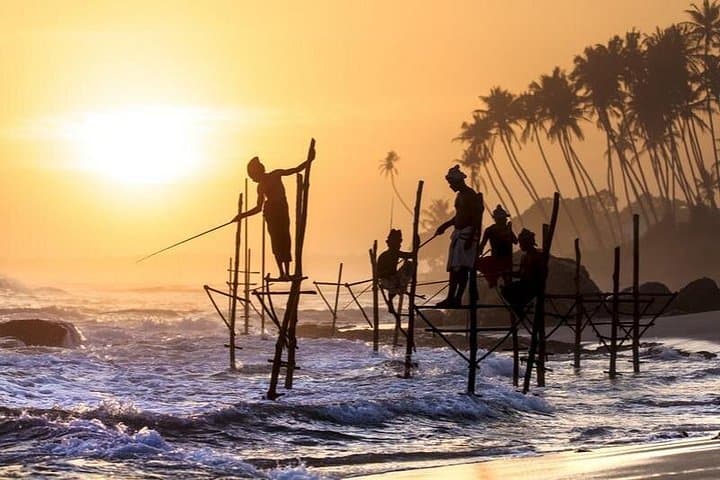 Coastal History and Stilt Fishing: Galle Day Trip from Colombo photo 3