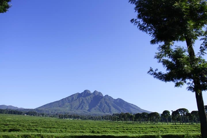 Mount Bisoke Day Hike: Summit the Volcano and Visit the Crater Lake photo 4