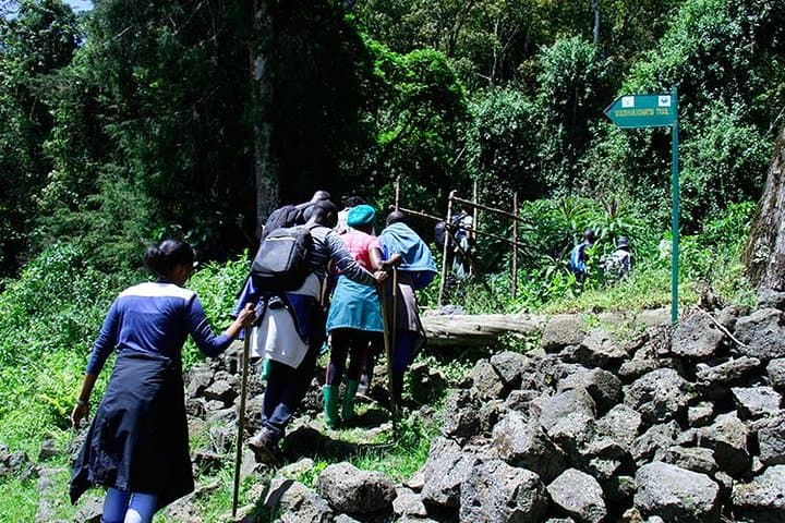Mount Bisoke Day Hike: Summit the Volcano and Visit the Crater Lake photo 2