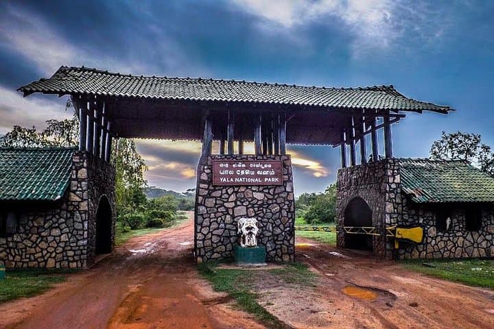 Private 2-Day Yala Leopard Safari from Colombo — Yala National Park Wildlife Tour photo 4