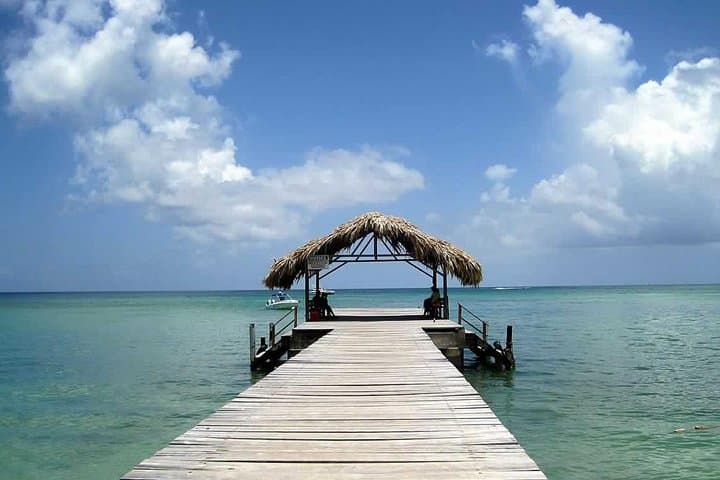 Buccoo Reef Nylon Pool Glass-Bottom Boat Tour — Tobago Snorkel Day Trip photo 2