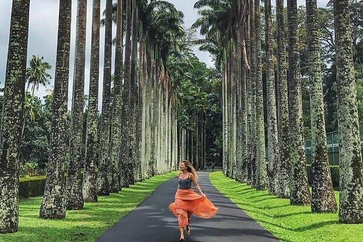 Kandy Day Tour from Colombo: Temple of the Tooth & Royal Botanic Gardens Guide photo 1
