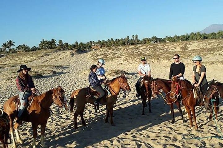 Beach Horseback Riding in Todos Santos — Ride Coastal Trails and Los Cerritos