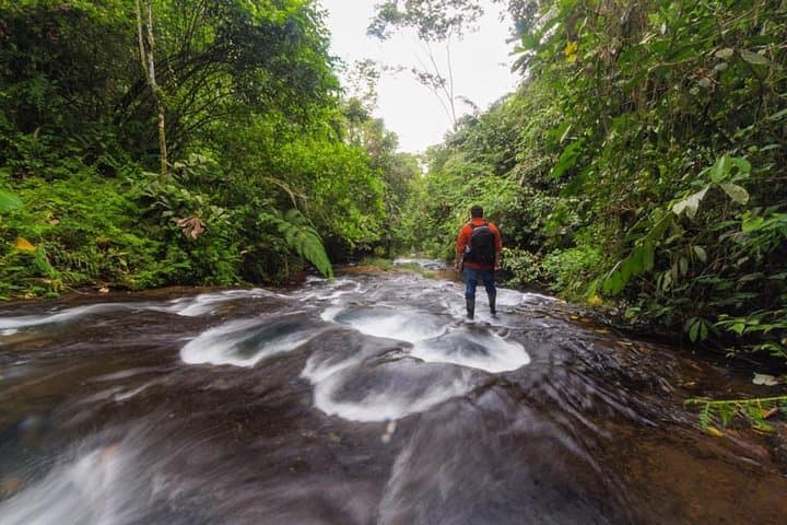 Amazon Waterfalls and Caverns Full-Day Adventure from Tena