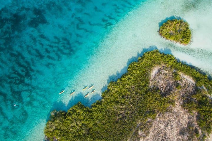 Providenciales Kayak Eco Tour — Mangroves, Turtles & Coastal Ecology photo 3