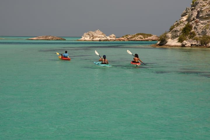 Providenciales Kayak Eco Tour — Mangroves, Turtles & Coastal Ecology photo 2