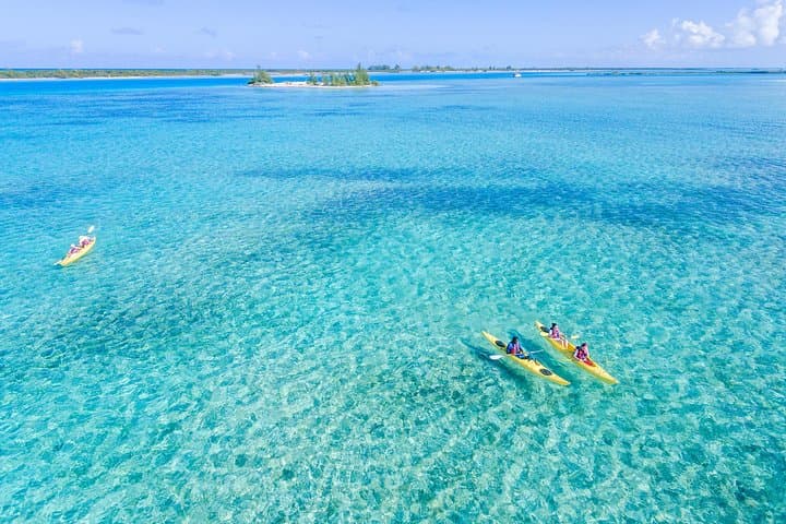 Providenciales Kayak Eco Tour — Mangroves, Turtles & Coastal Ecology
