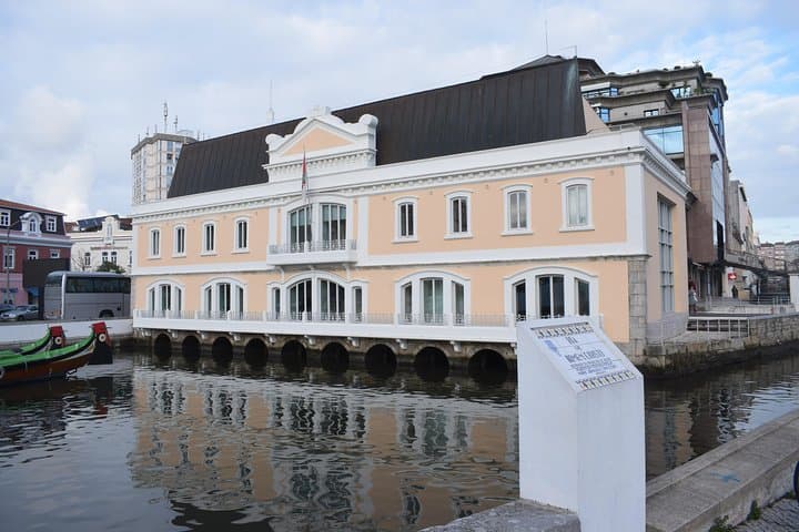 Lisbon to Porto Private Tour via Coimbra, Mealhada & Aveiro Canals photo 5