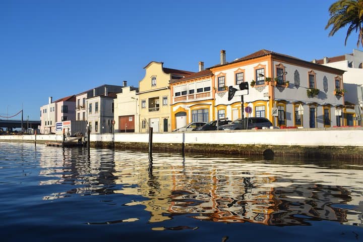 Lisbon to Porto Private Tour via Coimbra, Mealhada & Aveiro Canals photo 2