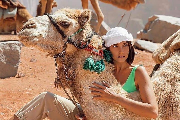 Joyful Roads: Private Transfer from the Dead Sea to Petra — Scenic Stops & Practical Tips photo 3