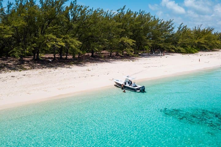 Swim with Green Sea Turtles on Green Cay — Nassau Snorkel Excursion photo 3
