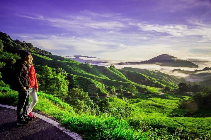Cameron Highlands Day Trip from Kuala Lumpur: Tea Plantations, Farms & Waterfalls photo 1