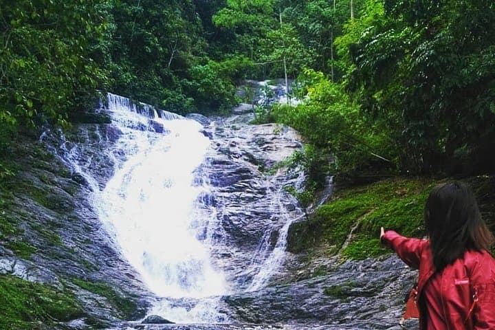 Cameron Highlands Day Trip from Kuala Lumpur: Tea Plantations, Farms & Waterfalls photo 2