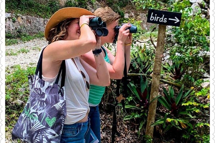Hand-Feed Hummingbirds at Rocklands Bird Sanctuary — Montego Bay Private Tour photo 2
