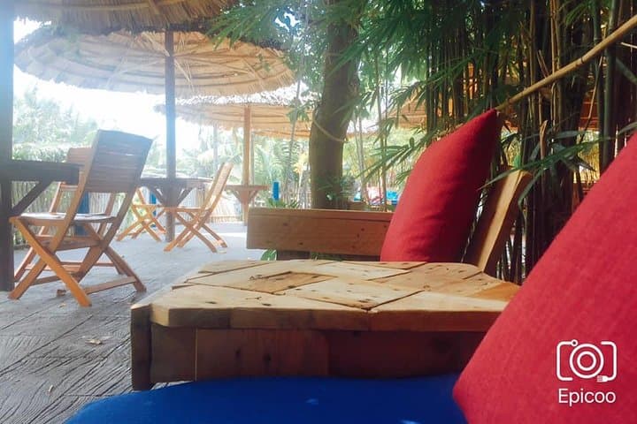 Bay Mau Coconut Forest Basket Boat Tour — Hoi An Mangrove Experience photo 6