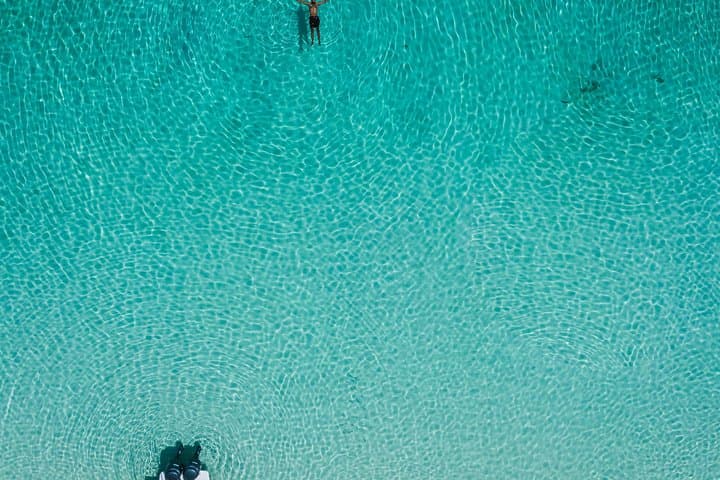Swim with Green Sea Turtles on Green Cay — Nassau Snorkel Excursion photo 2
