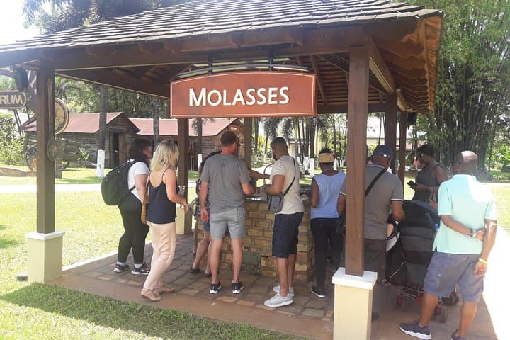 Private Appleton Estate, YS Falls & Black River Safari from Montego Bay