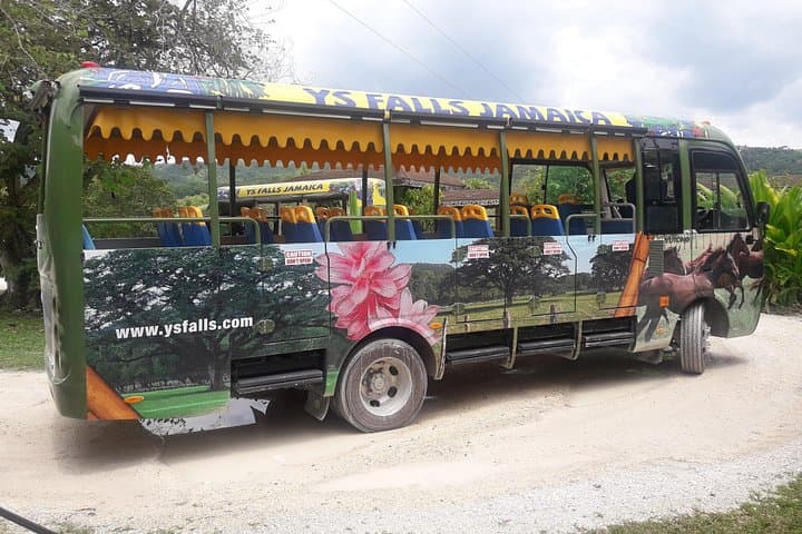 Private YS Falls Tour from Montego Bay — Swim, Zipline and Waterfall Climb photo 4