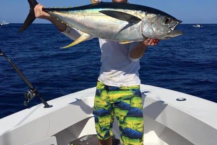 Half-Day Deep Sea & Light-Tackle Fishing from Nassau photo 4